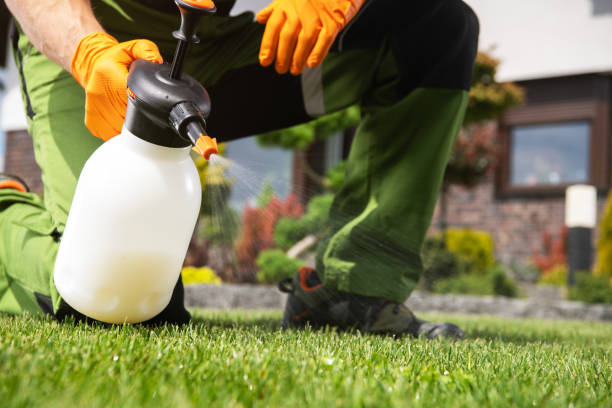 Best Wildlife Control Services  in Shell Ridge, CA