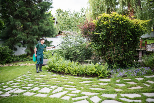 Best Mosquito Control Services  in Shell Ridge, CA