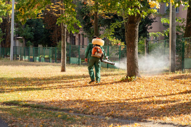 Best Cockroach Control Services  in Shell Ridge, CA