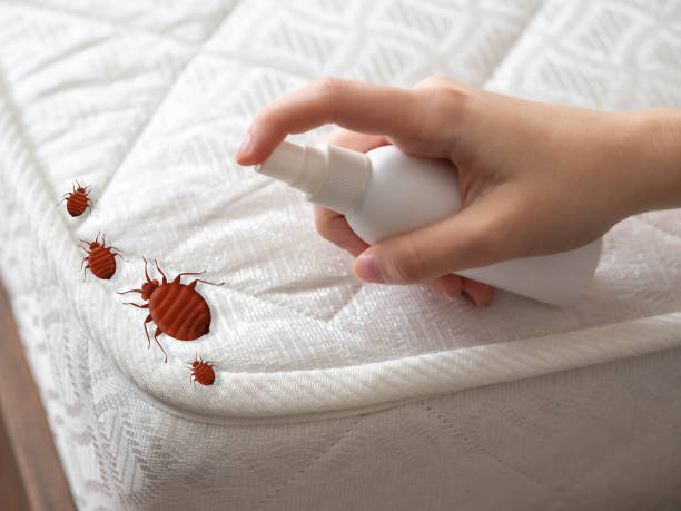 Best Best Pest Control Near Me  in Shell Ridge, CA