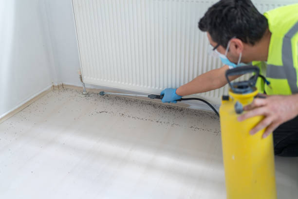  Shell Ridge, CA Pest Control Pros