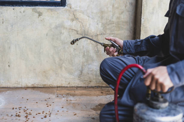 Best Wasp Removal Services  in Shell Ridge, CA