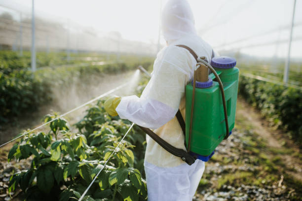 Best Pest Prevention Services  in Shell Ridge, CA
